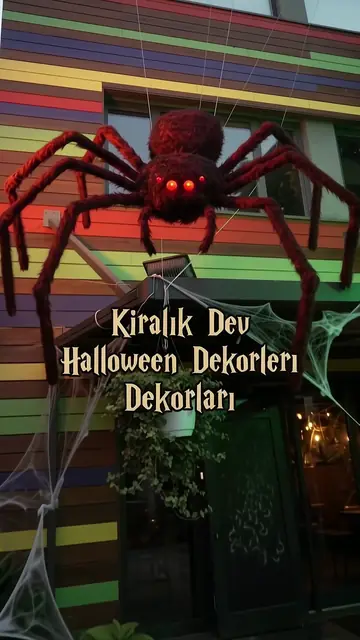 Örümcek 7